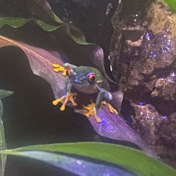 ❤️💕Meet your Posher, Susan, updated 6-21-22 - Picture 14 of 16